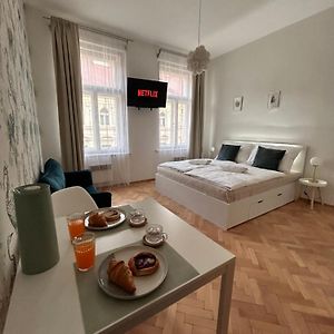 Appartement met een Slaapkamer
